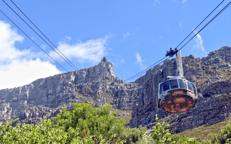 Things to do in Cape Town on a Friday