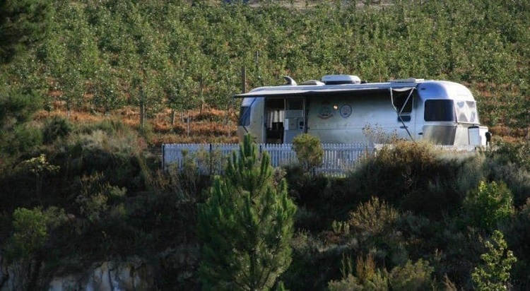 5 Beautiful Towns Near Cape Town to Spend Valentine's Day - Elgin