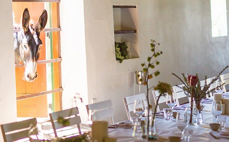 15 Best Locations for a Fairytale Wedding in Cape Town - Babylonstoren