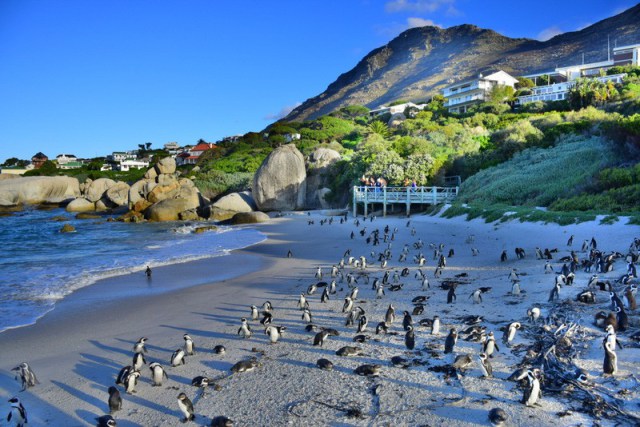 outdoor adventures in South Africa