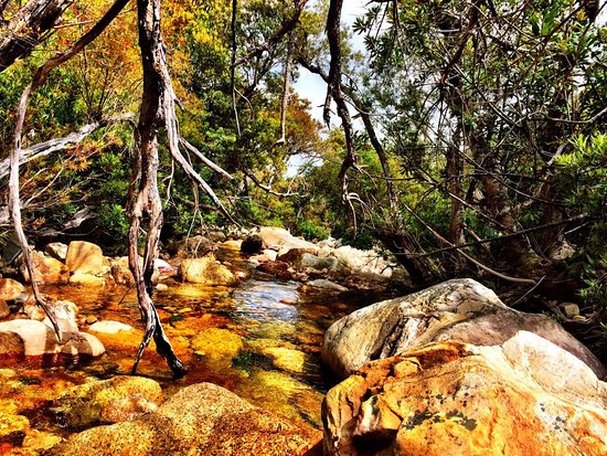 South Africa’s Stellenbosch