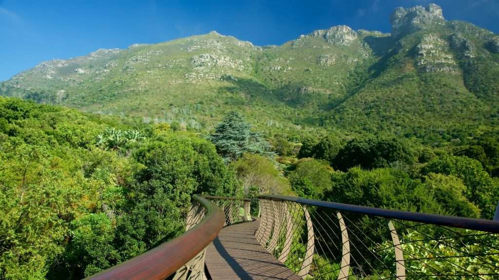 Cape Town attractions