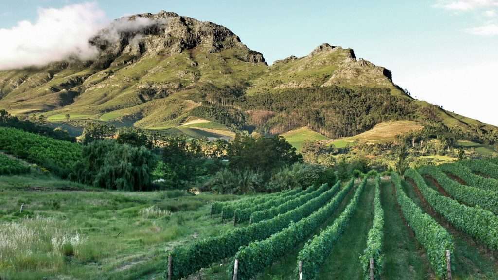 getaway to Stellenbosch