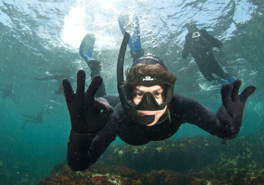 experiences in Cape Town