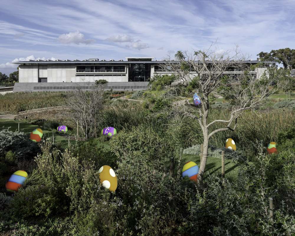 Cape Town events this weekend