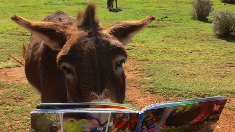 things to do in Cape Town