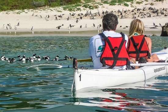 adventures in Cape Town