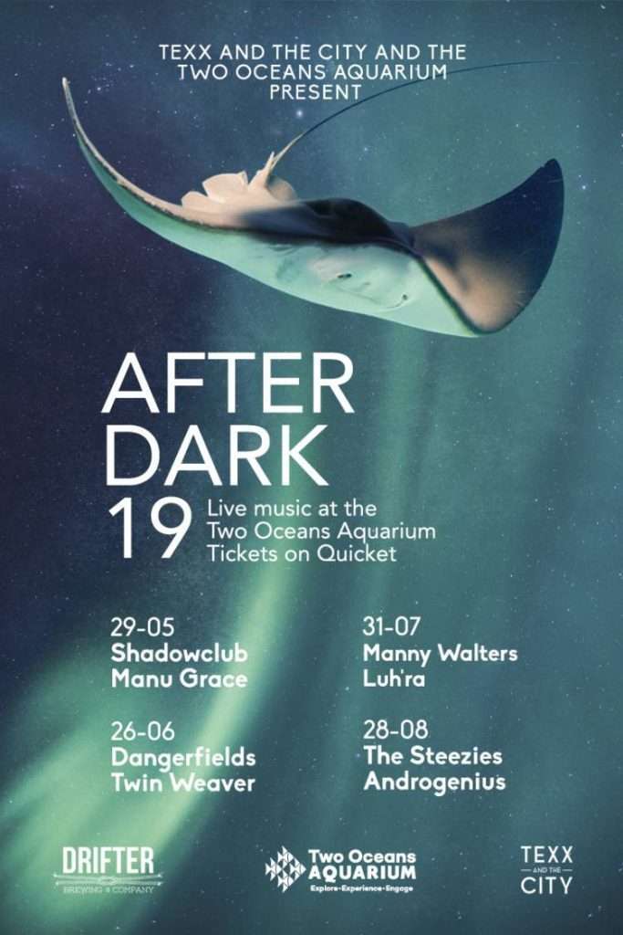 things to do in Cape Town