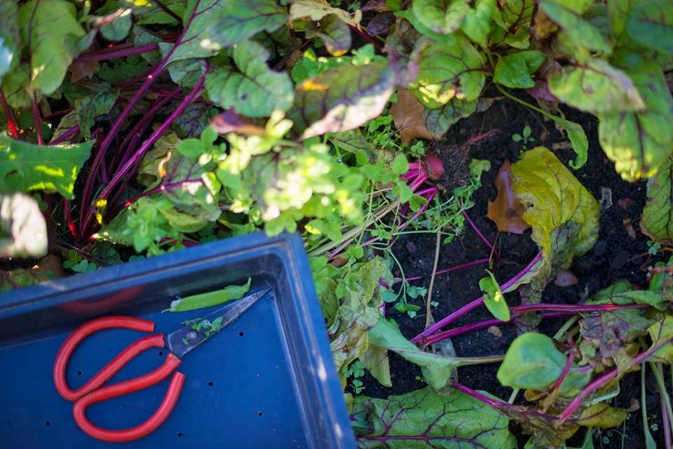 events in and around Cape Town