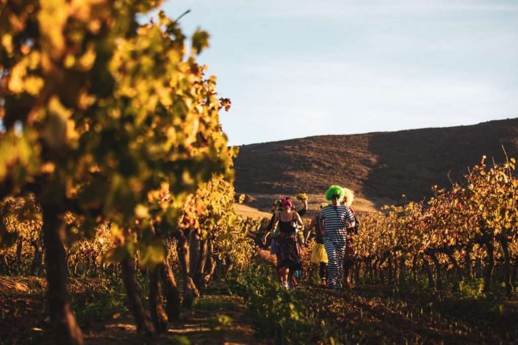 Cape Town this weekend