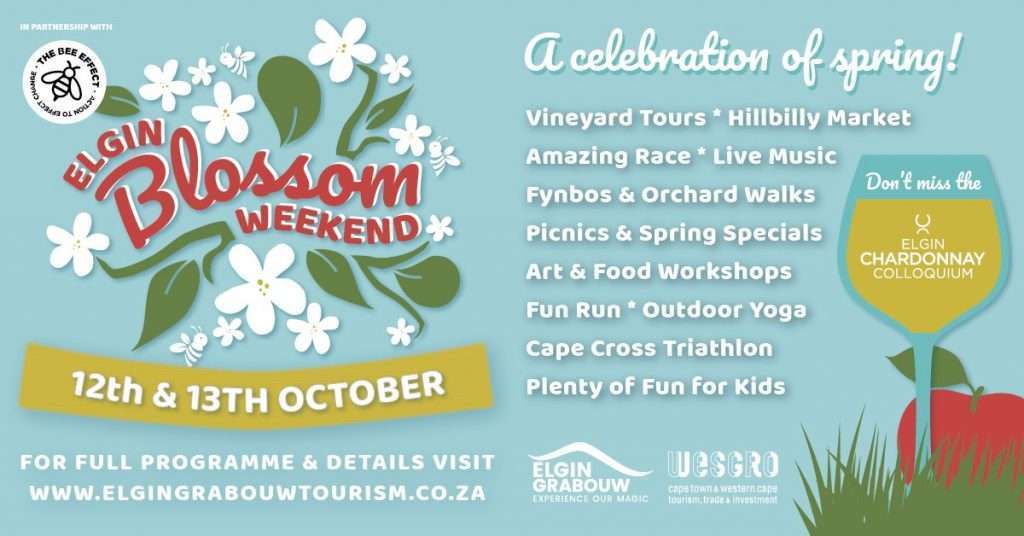 Cape Town this weekend