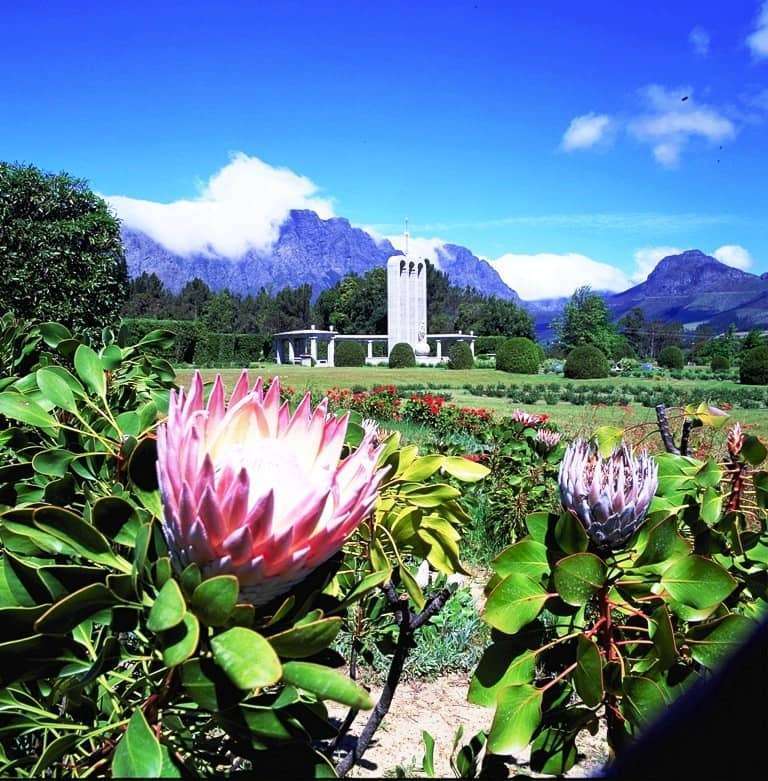 tours in Cape Town