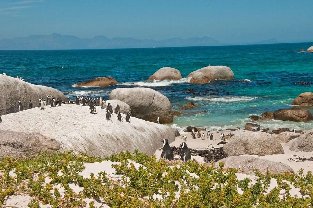 beautiful Cape Town attractions