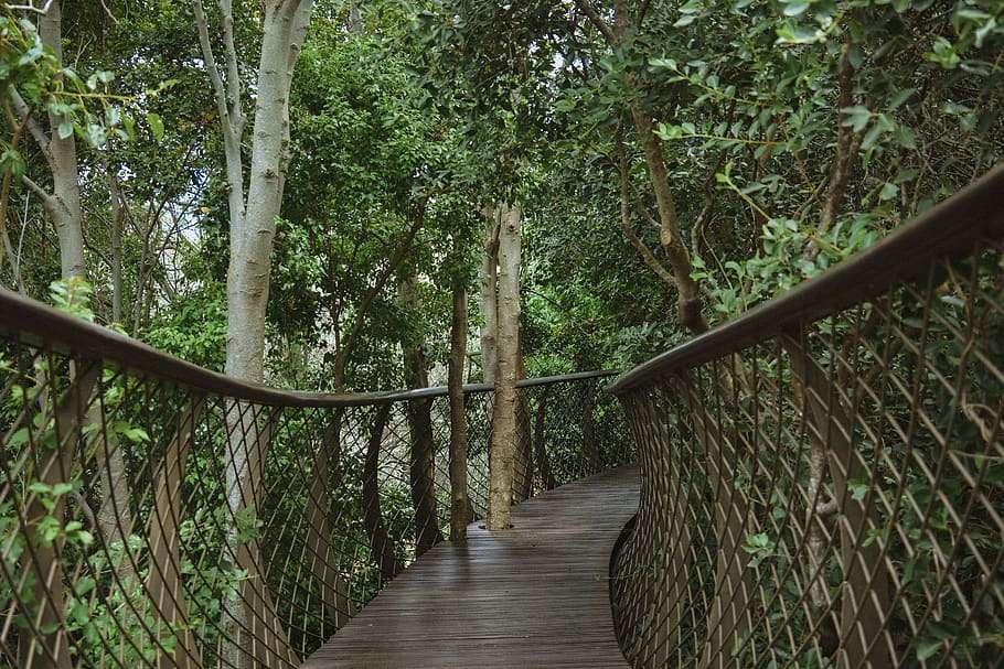 beautiful Cape Town attractions