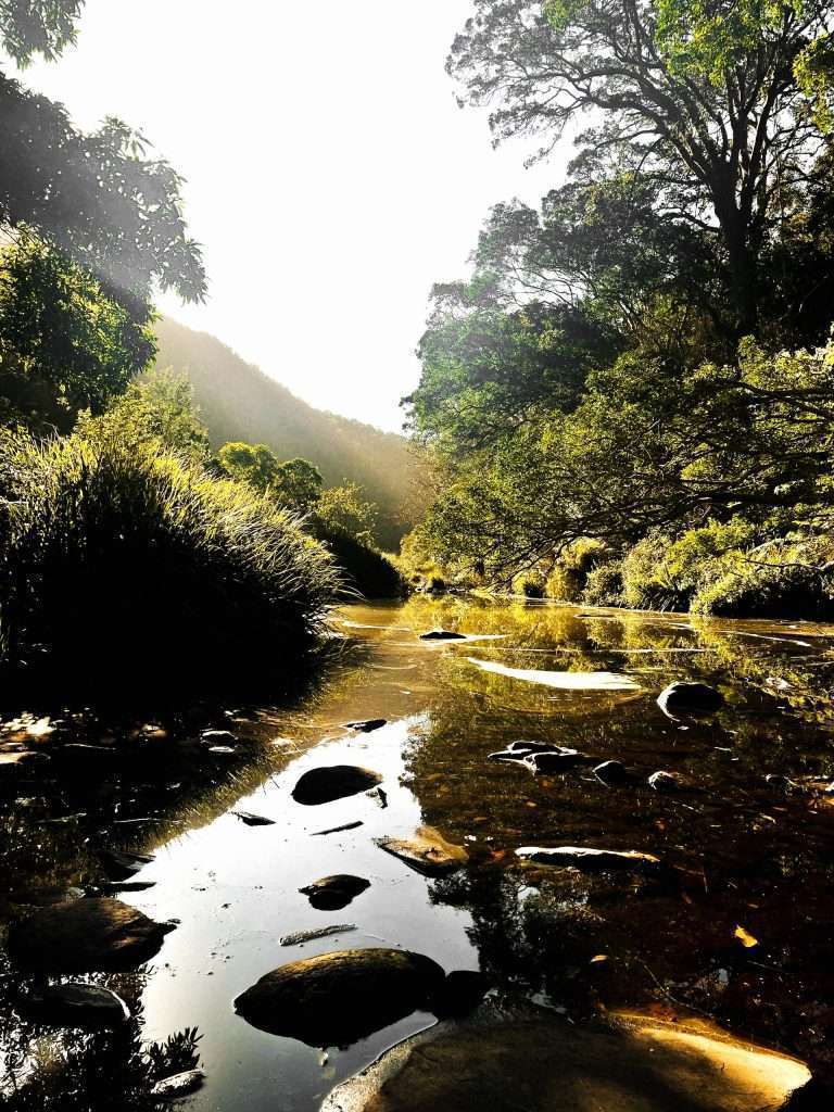 Best Waterfalls in Cape Town