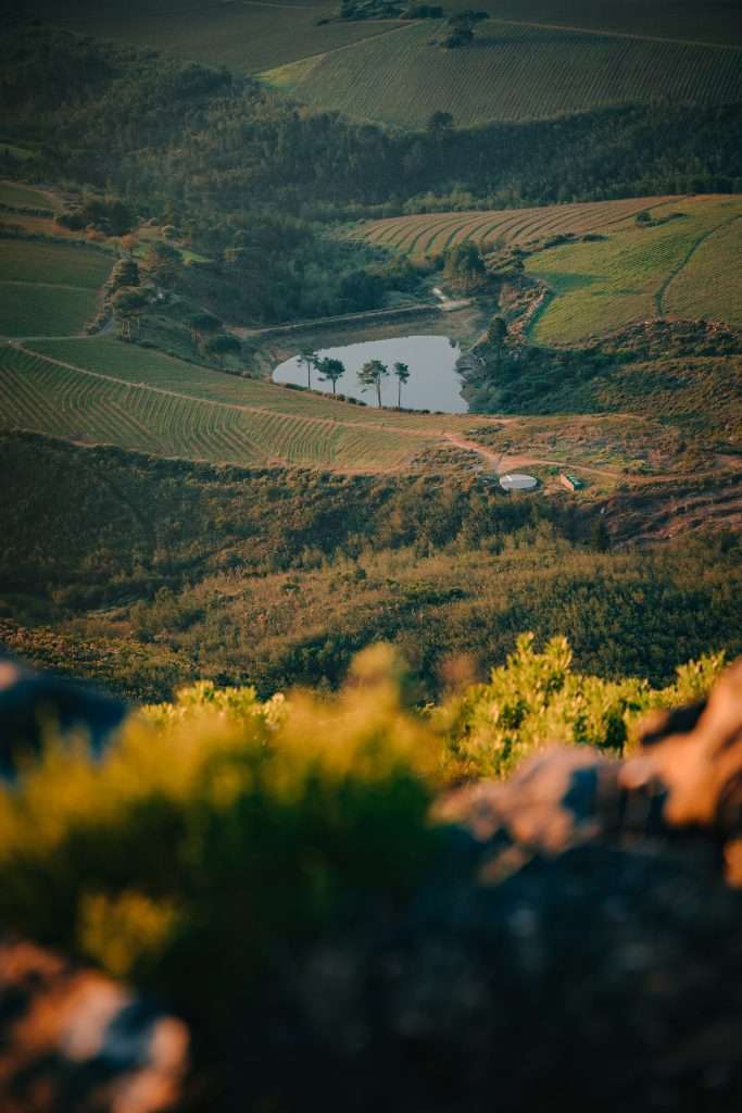 Things to know before visiting Cape Town